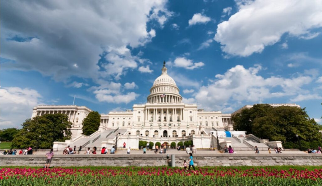 2024 Mid-Atlantic Spring Bulldog Specialty Show