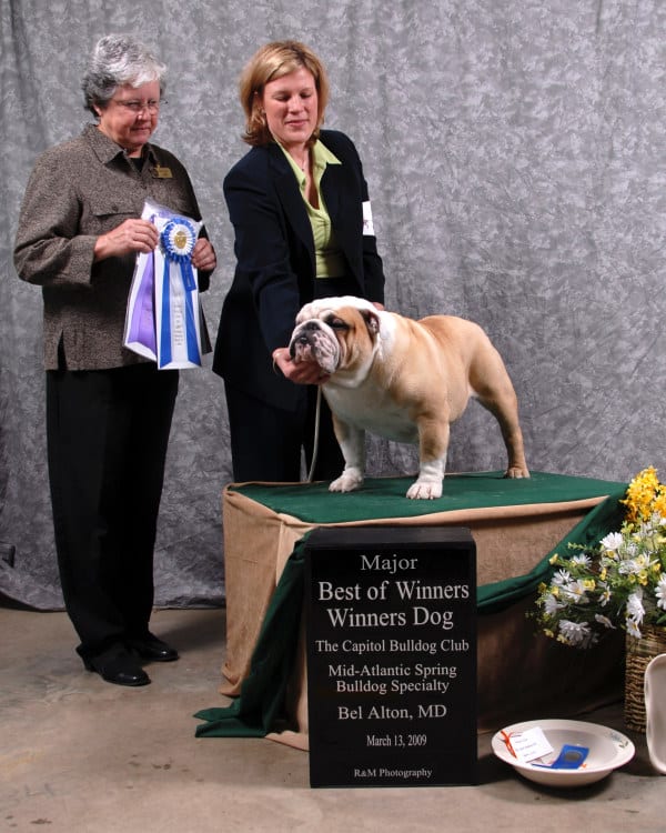 Best of Winners