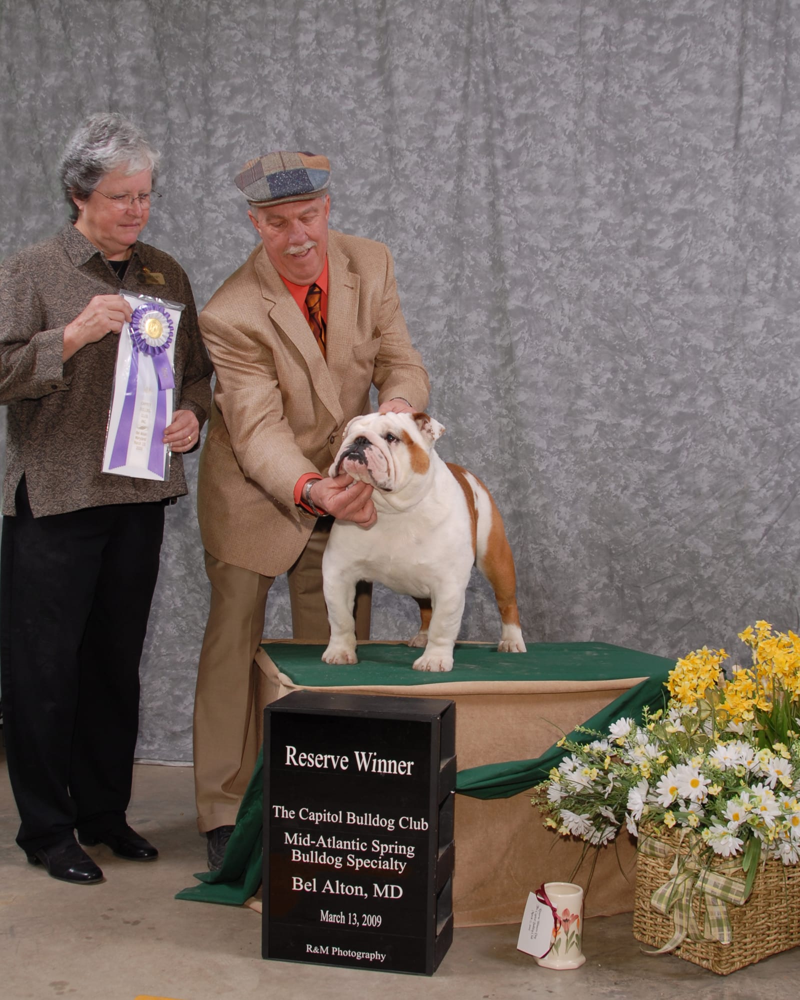 Reserve Winners Dog