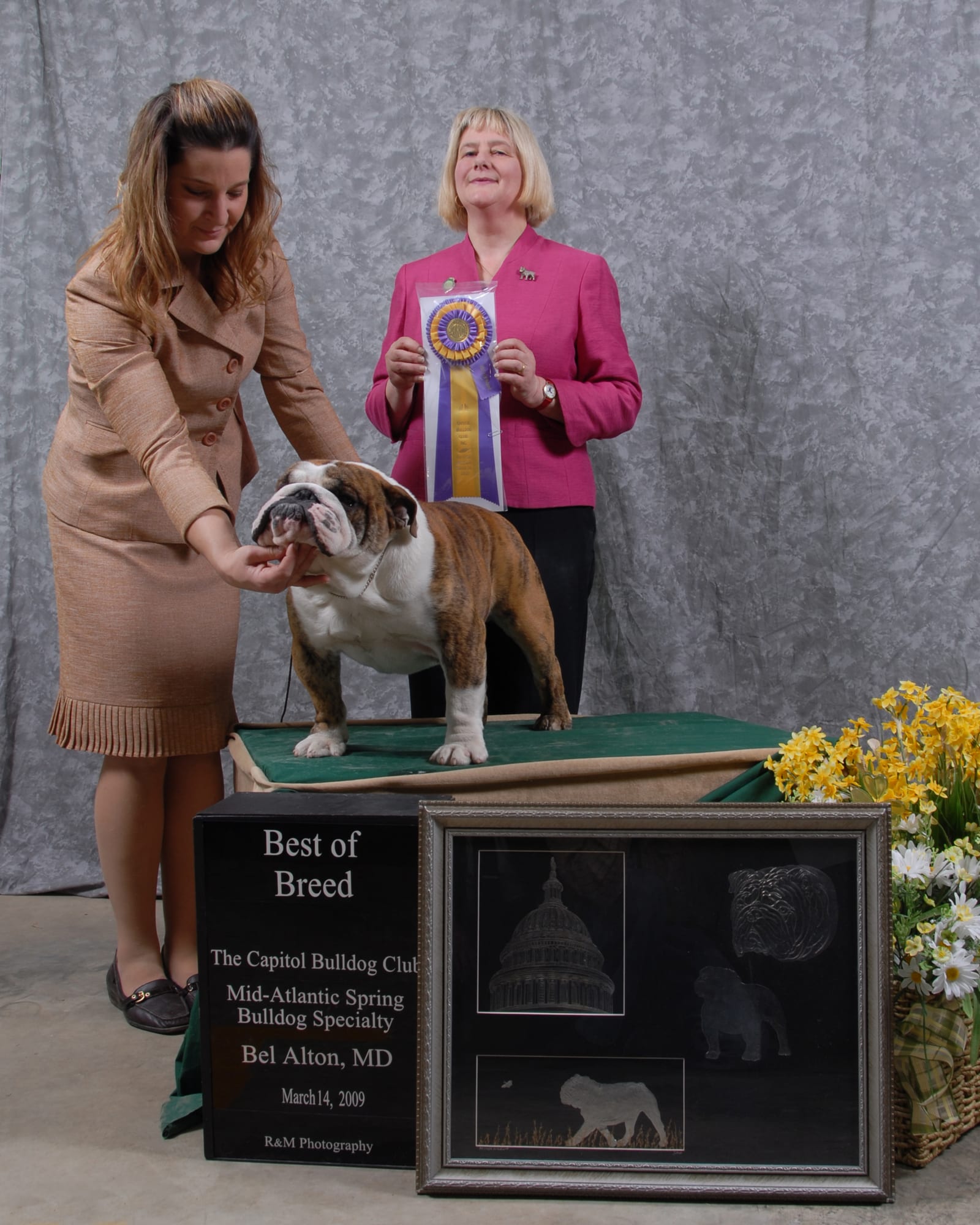 Best of Breed