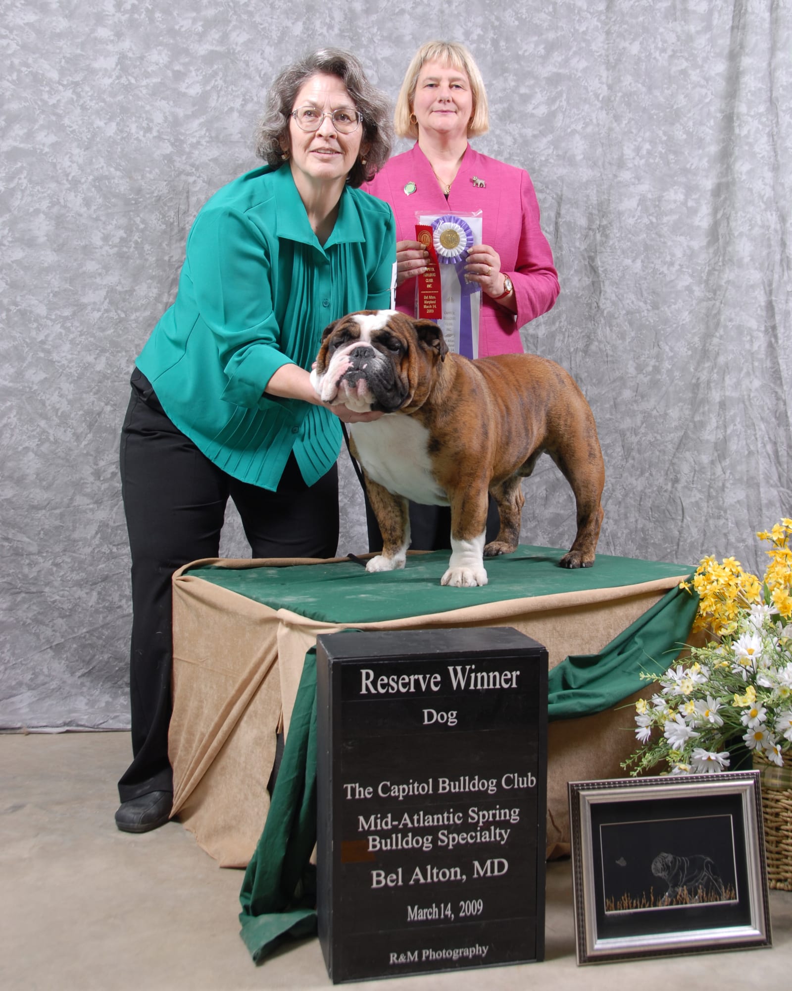 Reserve Winners Dog