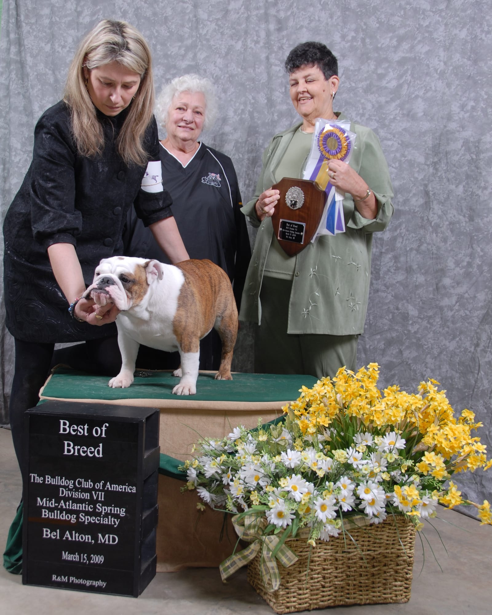 Best of Breed