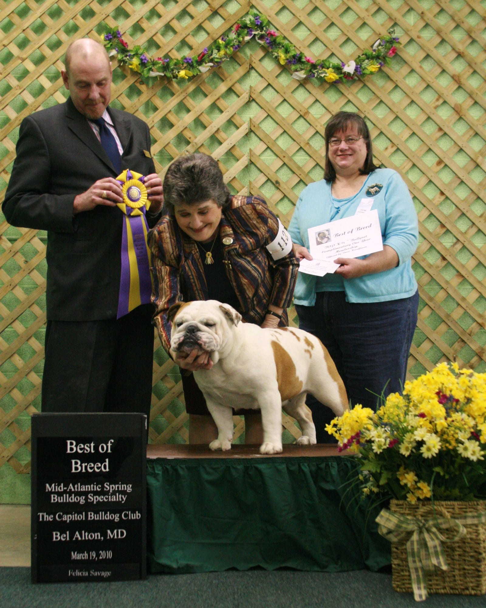 Best of Breed 2010