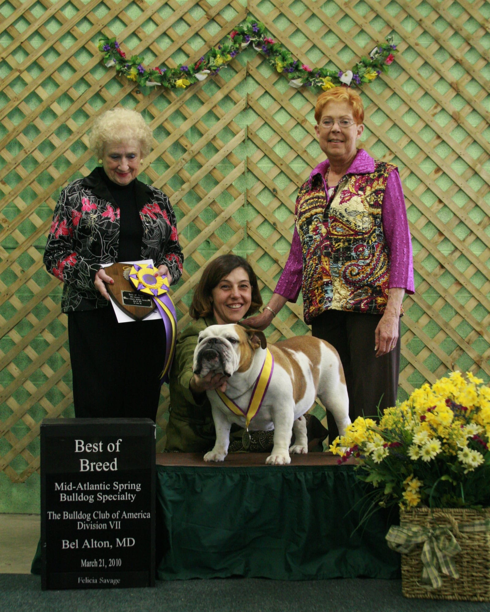 Best of Breed