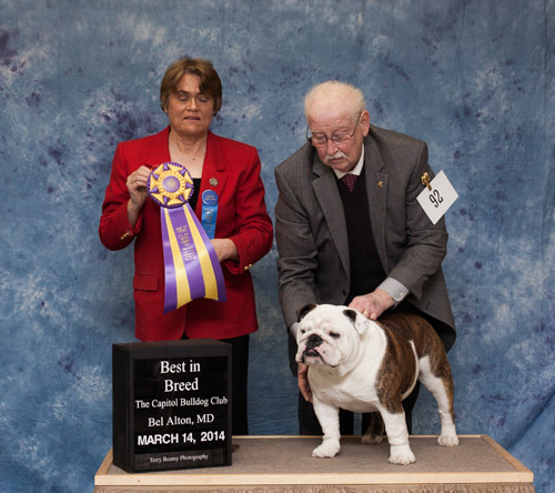 Best of Breed 2014