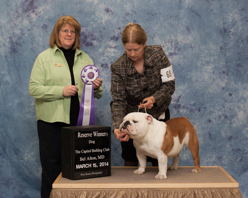 Reserve Winners Dog