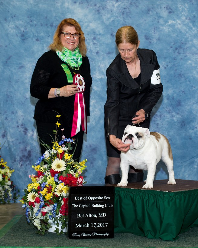 Best of Opposite Sex