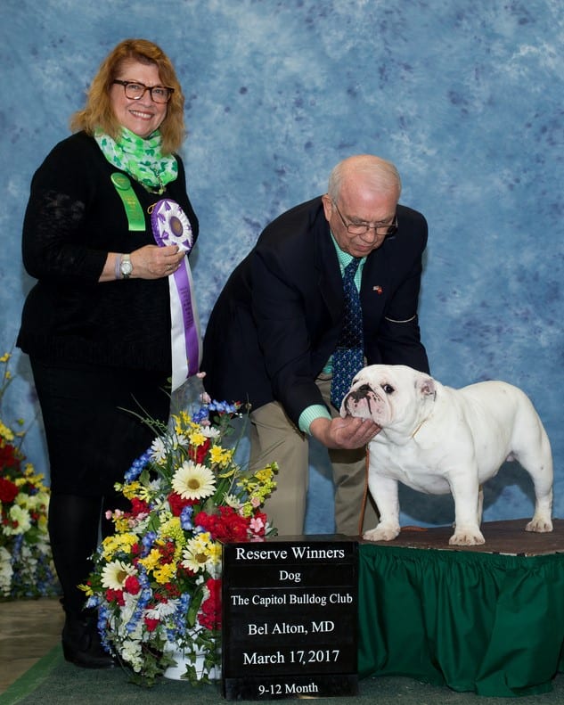 Reserve Winners Dog