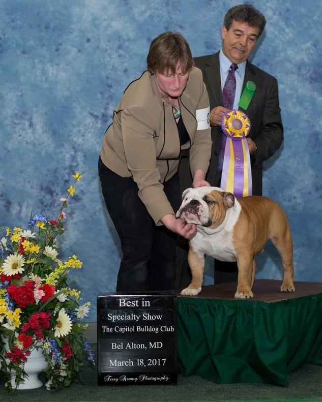 Best of Breed