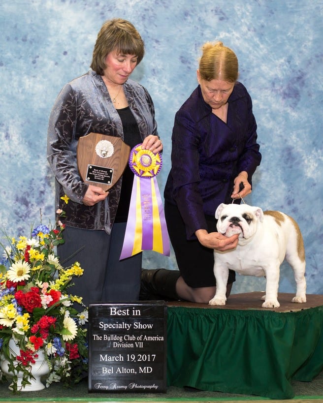 Best of Breed