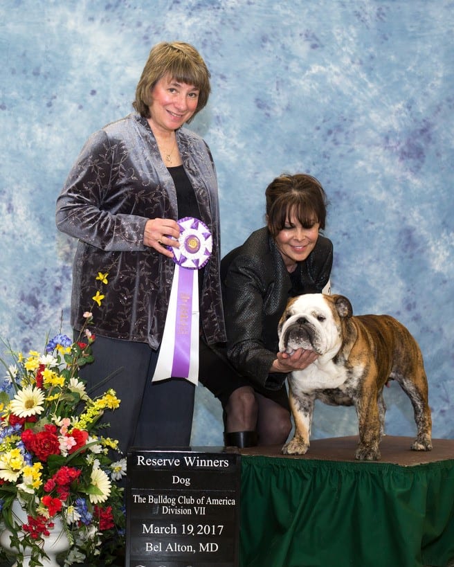 Reserve Winners Dog