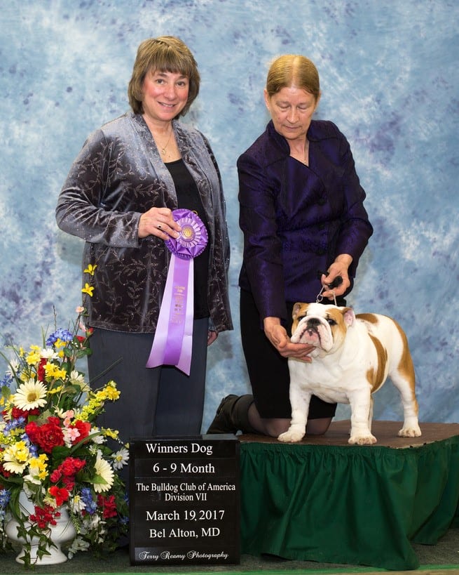 Winners Dog