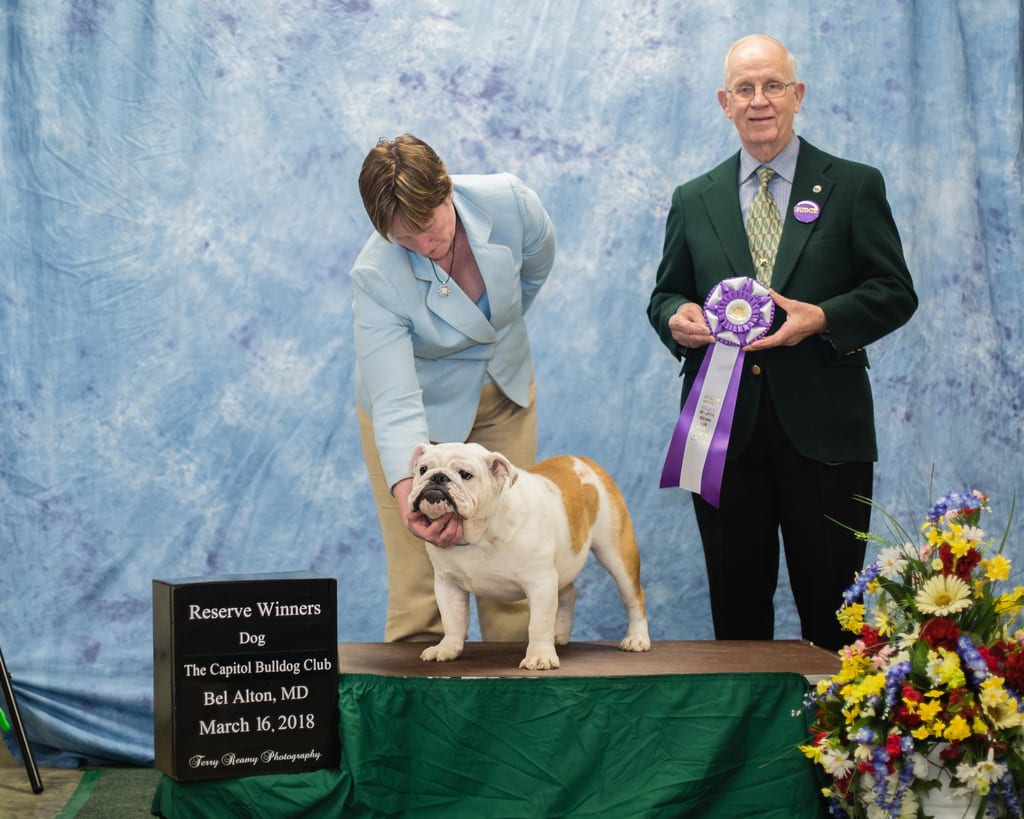 Reserve Winners Dog