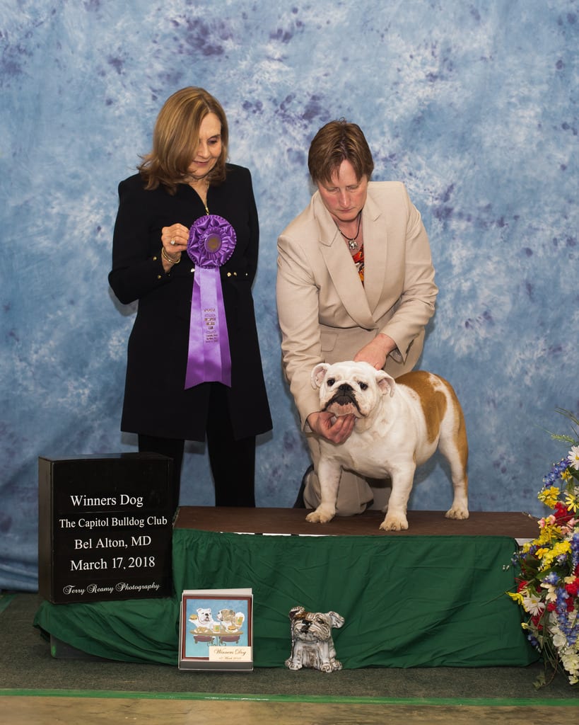 Winners Dog