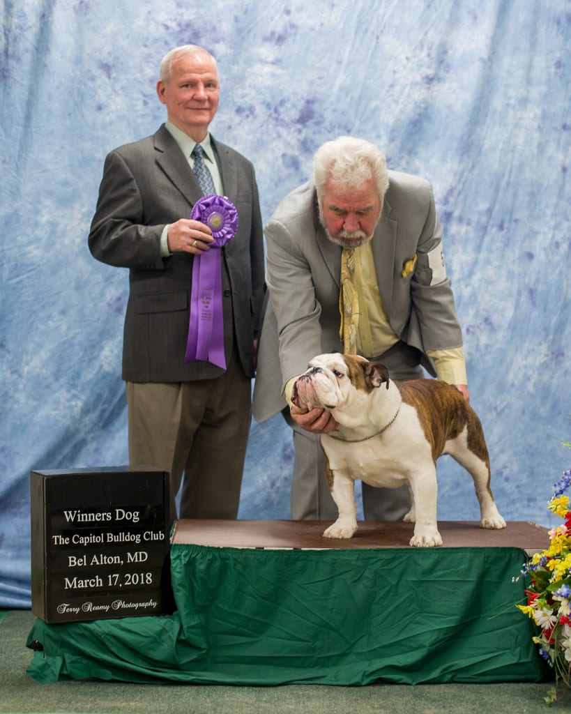 Winners Dog
