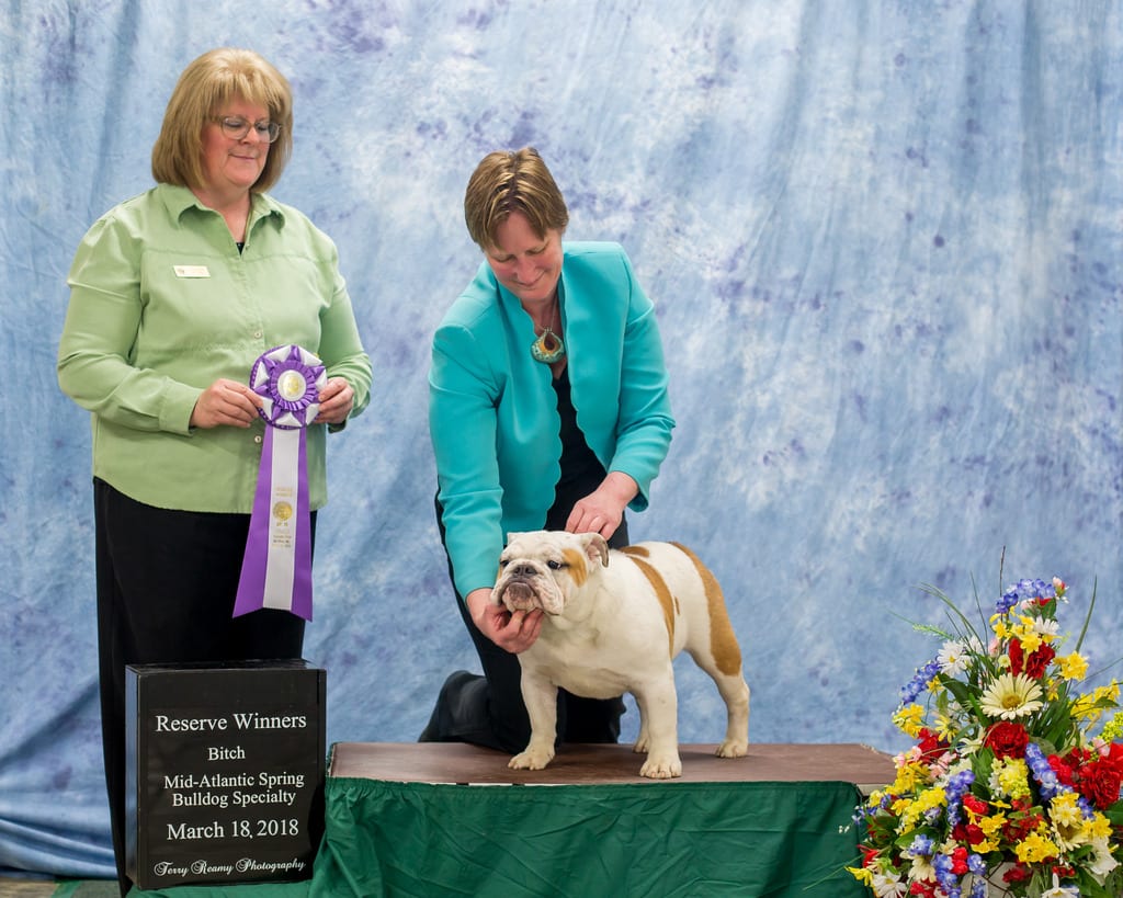 Reserve Winners Bitch