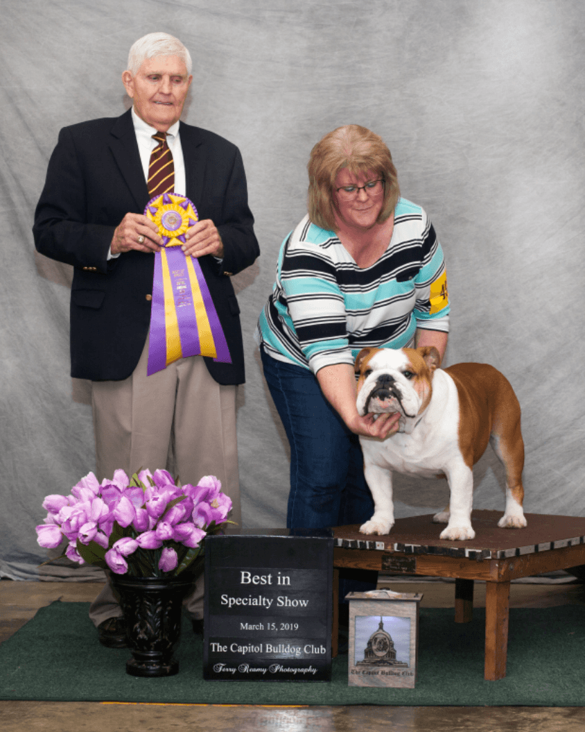 Best of Breed 2019