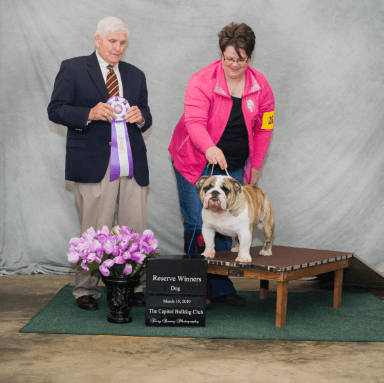 Reserve Winners Dog