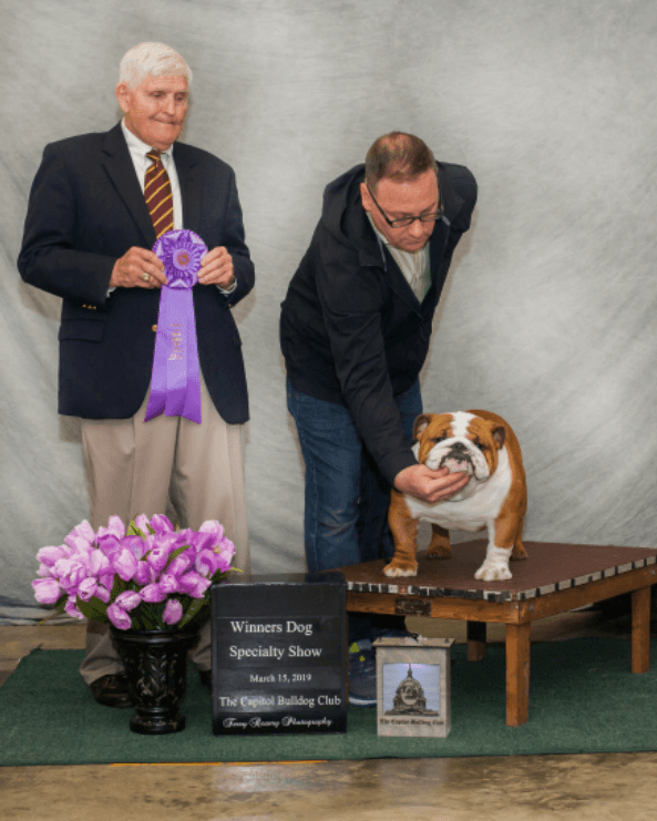 Winners Dog