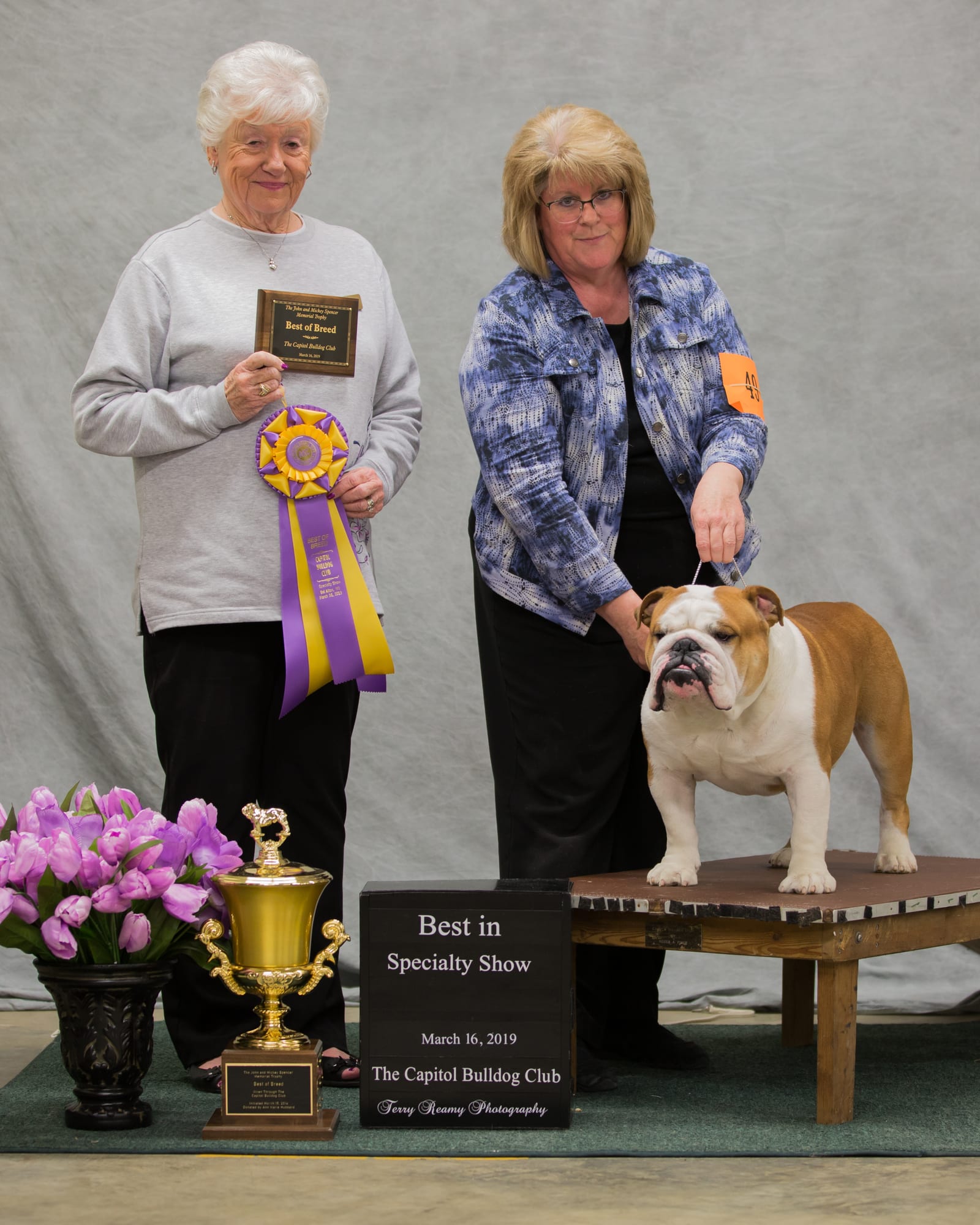 Best of Breed