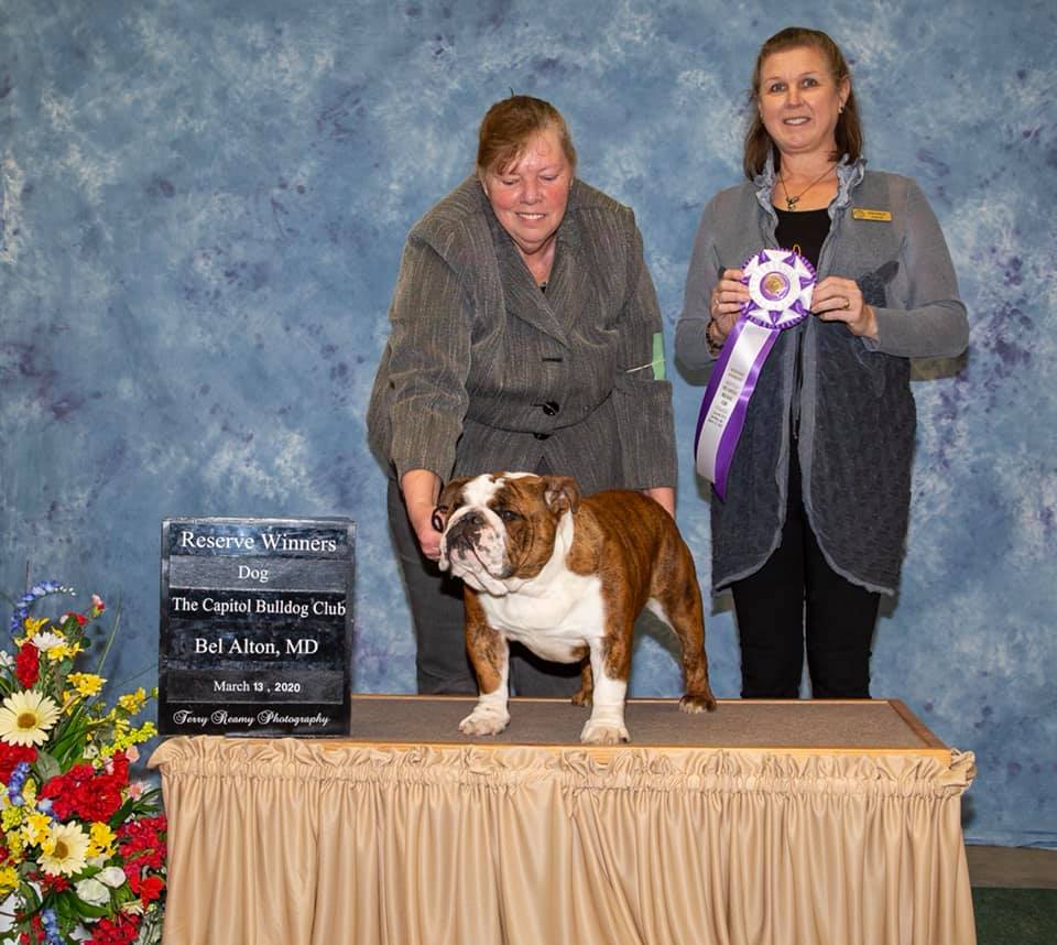 Reserve Winners Dog 2020