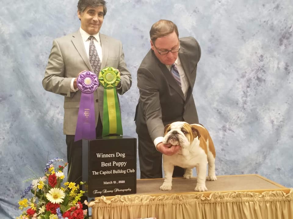 Winners Dog