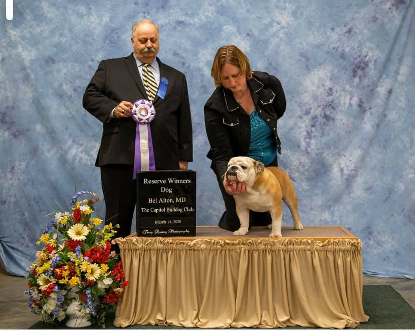 Reserve Winners Dog