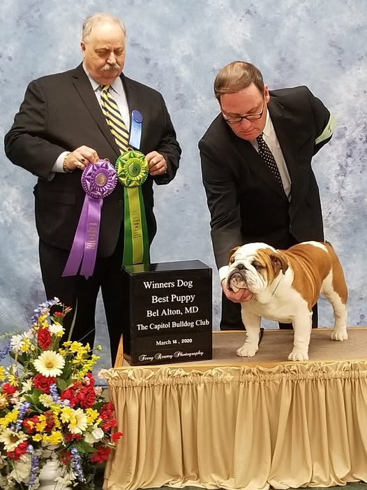 Winners Dog