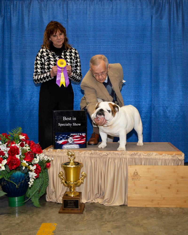 Best of Breed