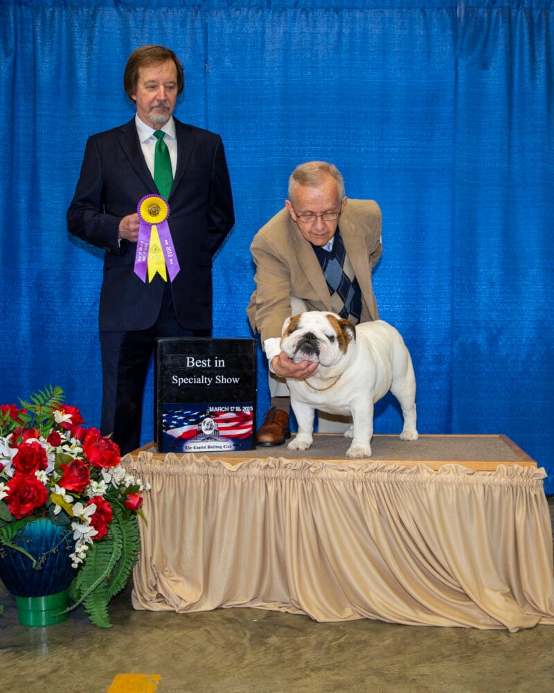 Best of Breed