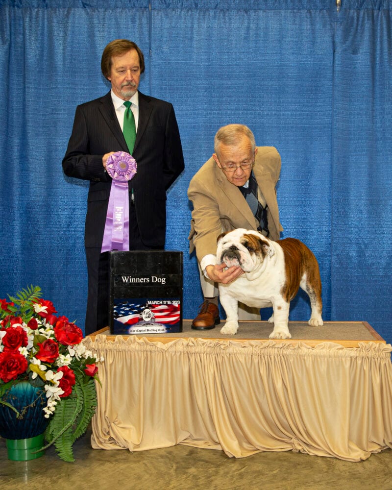 Winners Dog
