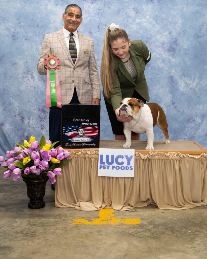 Best Junior Handler