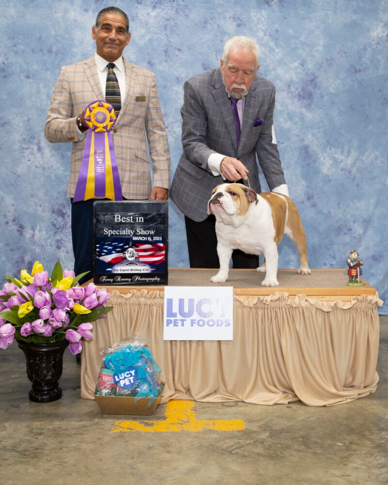 Best of Breed