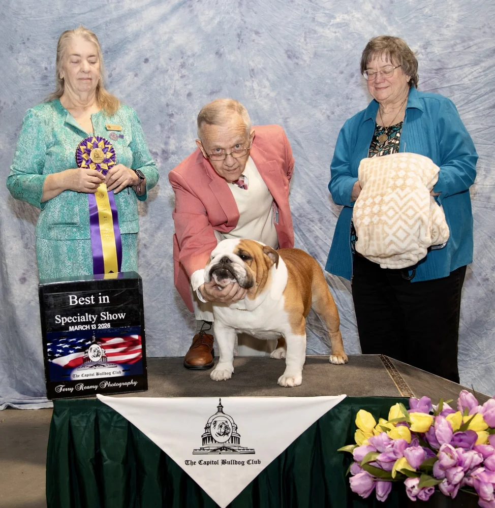 Best of Breed